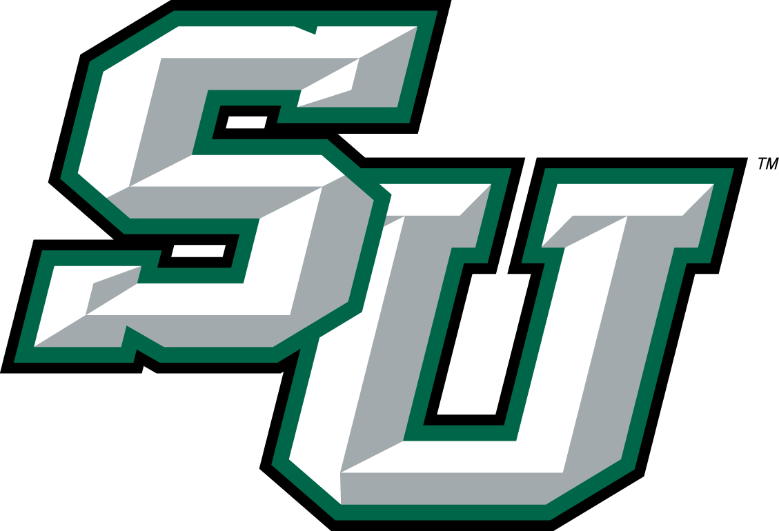 Stetson Hatters 2008-2017 Alternate Logo iron on transfers for clothing